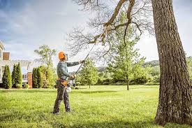 Best Emergency Tree Removal  in Meeker, CO